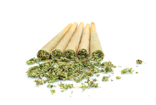 Premium Bruce Banner Pre-Rolls